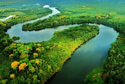 Amazonia BR
