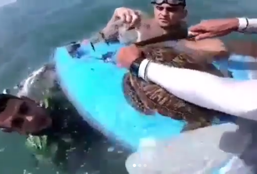 Resgate tartaruga marinha cabedelo
