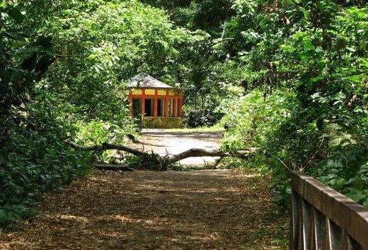 Mata do Buraquinho, onde fica o Jardim Botânico, é a maior reserva de mata Atlântica Urbana do país