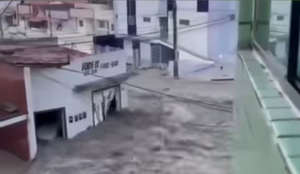 Screenshot 20251108 101439