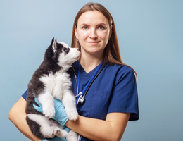 O sistema imunológico em formação torna os filhotes de pets mais suscetíveis a infecções, vírus e bactérias (Imagem: Andrii Spy_k
| Shutterstock)