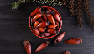 Além de ter um sabor que conquista muitas pessoas ao redor do país, o pinhão também é um alimento fonte de bons nutrientes (Imagem: Cassiano Correia | Shutterstock)