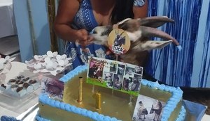 Bode ganha festa de aniversario com direito a decoracao e convidados na PB 2