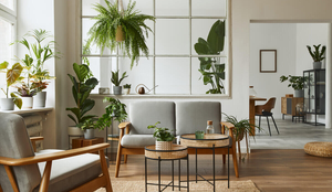 Plantas na decoração oferecem conforto e bem-estar (Imagem: Followtheflow | Shutterstock)