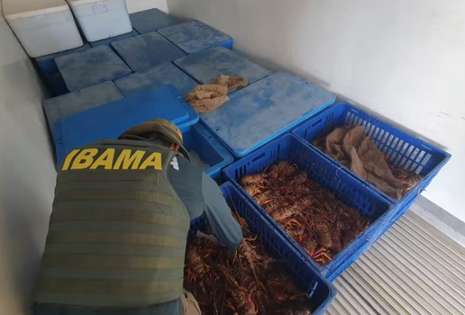 Captura de tela 2025 08 22 194842