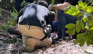 Homem é encontrado morto em região de matagal, na Grande João Pessoa
