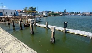 2655ffc6 c846 4dae 8d1e ea8892c356b6