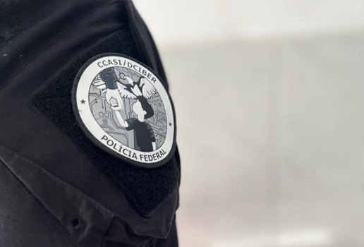 PF crimes ciberneticos