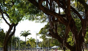 Parque da Lagoa