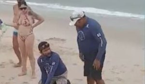 Peixe-boi-marinho recém-nascido é resgatado em praia da Paraíba