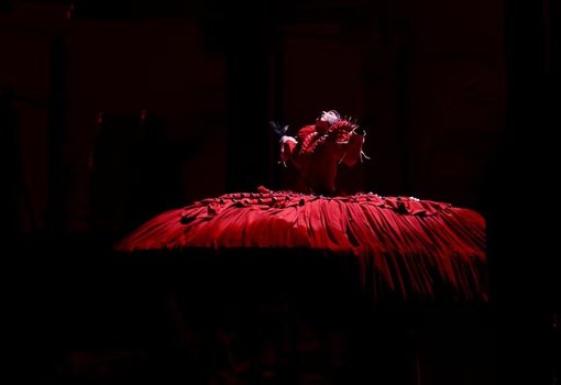 Gaga Rio
