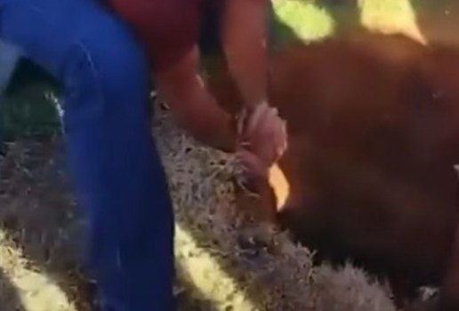 Whats App Image 2025 07 04 at 18 44 25