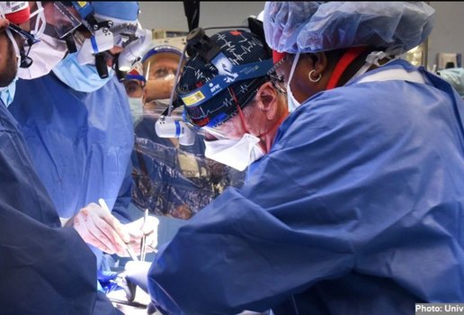 Homem se recupera após transplante com coração de porco