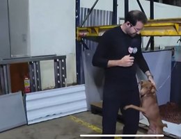 Paulo mathias adota cachorro chega mais sbt