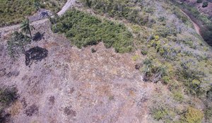 Operação identifica mais de 7 hectares de Mata Atlântica desmatados na PB