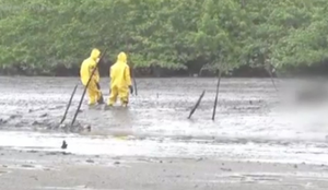 Screenshot 20251018 151320