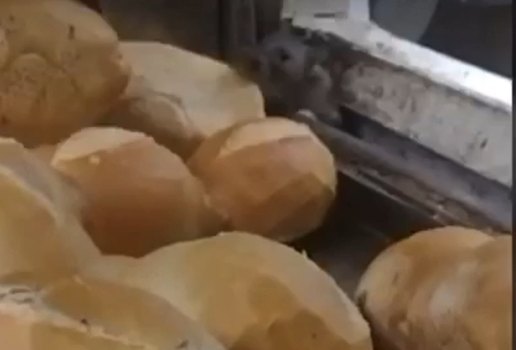 Vídeo: cliente flagra rato em estufa de pães em supermercado de BH