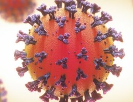 Corona virus pb