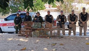 Operacao pm desterro