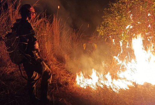 Incêndio no Parque Estadual da Paraíba completa 8 dias de combate