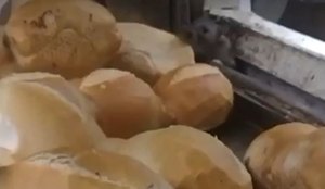 Vídeo: cliente flagra rato em estufa de pães em supermercado de BH
