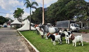 Paraiba agronegocios