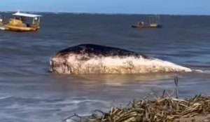 Whats App Image 2025 06 24 at 19 18 53