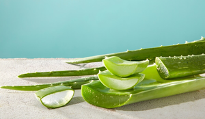 A aloe vera ganhou protagonismo nos cuidados com a pele e é usada em diferentes rotinas de beleza (Imagem: Light Stock | Shutterstock)
