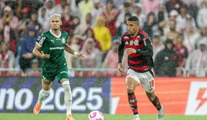 Fla x palmeiras brasileirao 2025 out