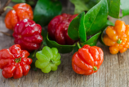 A pitanga é rica em nutrientes essenciais para o funcionamento do organismo (Imagem: artpritsadee | Shutterstock)