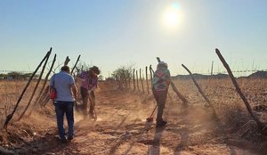 Pegadas de dinossauro de 125 milhoes de anos sao encontradas na Paraiba 2