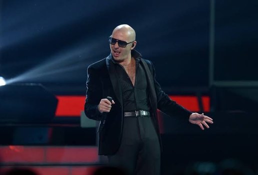 Pitbull 201119 123648