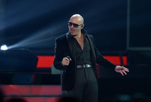 Pitbull 201119 123648