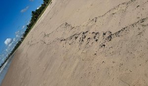 Novas manchas de óleo em praias da Paraíba acendem alerta ambiental