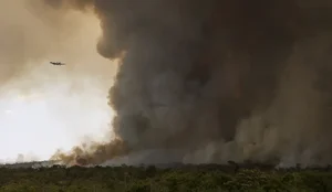 Queimadas Brasilia