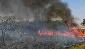 Amazonia focos de incendio sbt foto
