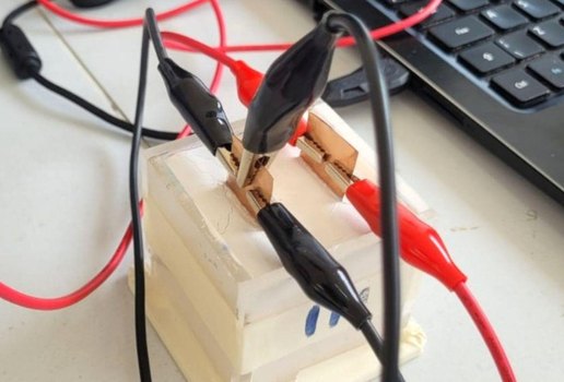 Plantopsicolgicona UFPB