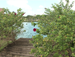 Parque da Lagoa Joao Pessoa