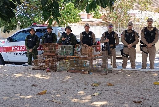 Operacao pm desterro