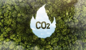 reduçao co2 carbono