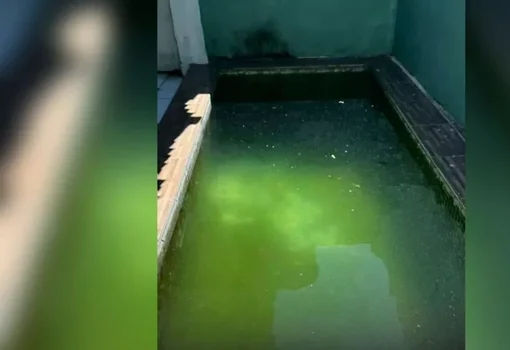 Tanque afogamento patos