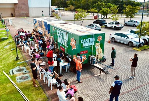 Castramovel mangabeira