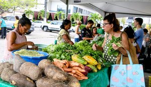 SEDEST Feira da Agricultura Familiar Foto Kleide Teixeira 28 1536x1024