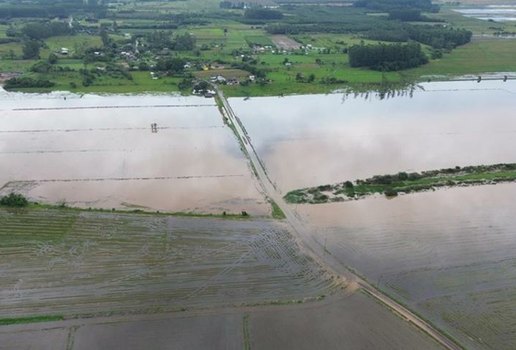 Lavoura inundada