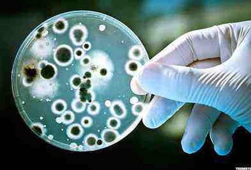 Fiocruz alerta para aumento de bactérias resistentes a antibióticos