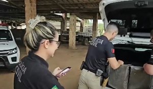 Policia queima drogas guarabira