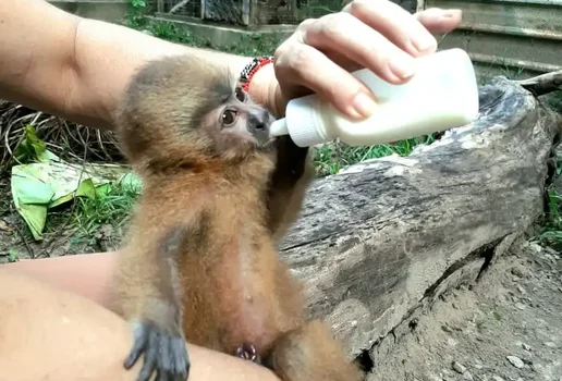 2b5d1fad 19c7 4788 9f83 1f2401c44080 1 1