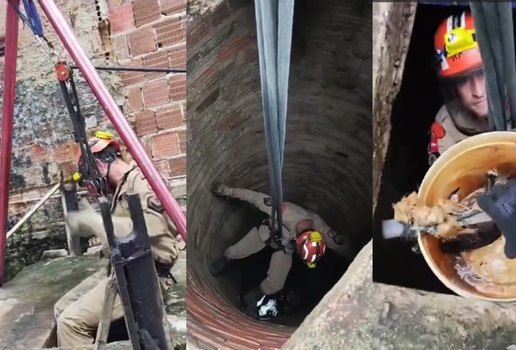 Equipe dos Bombeiros se mobiliza para salvar gato que caiu em poço na PB