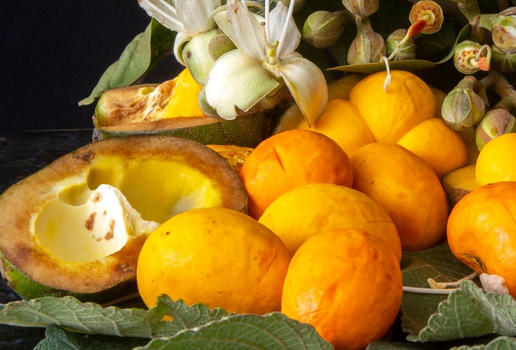 O pequi é rico em sabor e benefícios para a saúde (Imagem: Adilson Sochodolak | Shutterstock)