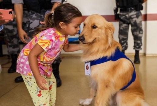 Lei garante acompanhamento de animais a pessoas com autismo